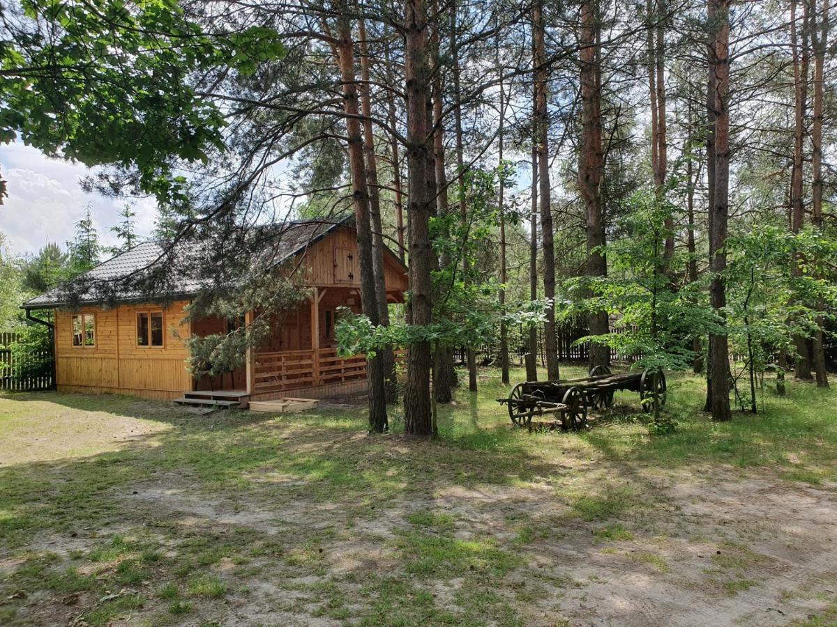 Roztocze U Aleksa Susiec - Jacuzii , Goraca Balia!!!ヴィラ エクステリア 写真