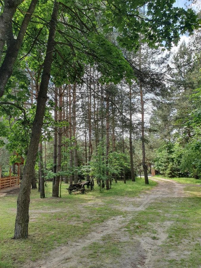 Roztocze U Aleksa Susiec - Jacuzii , Goraca Balia!!!ヴィラ エクステリア 写真